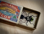 Matchbox_Fly